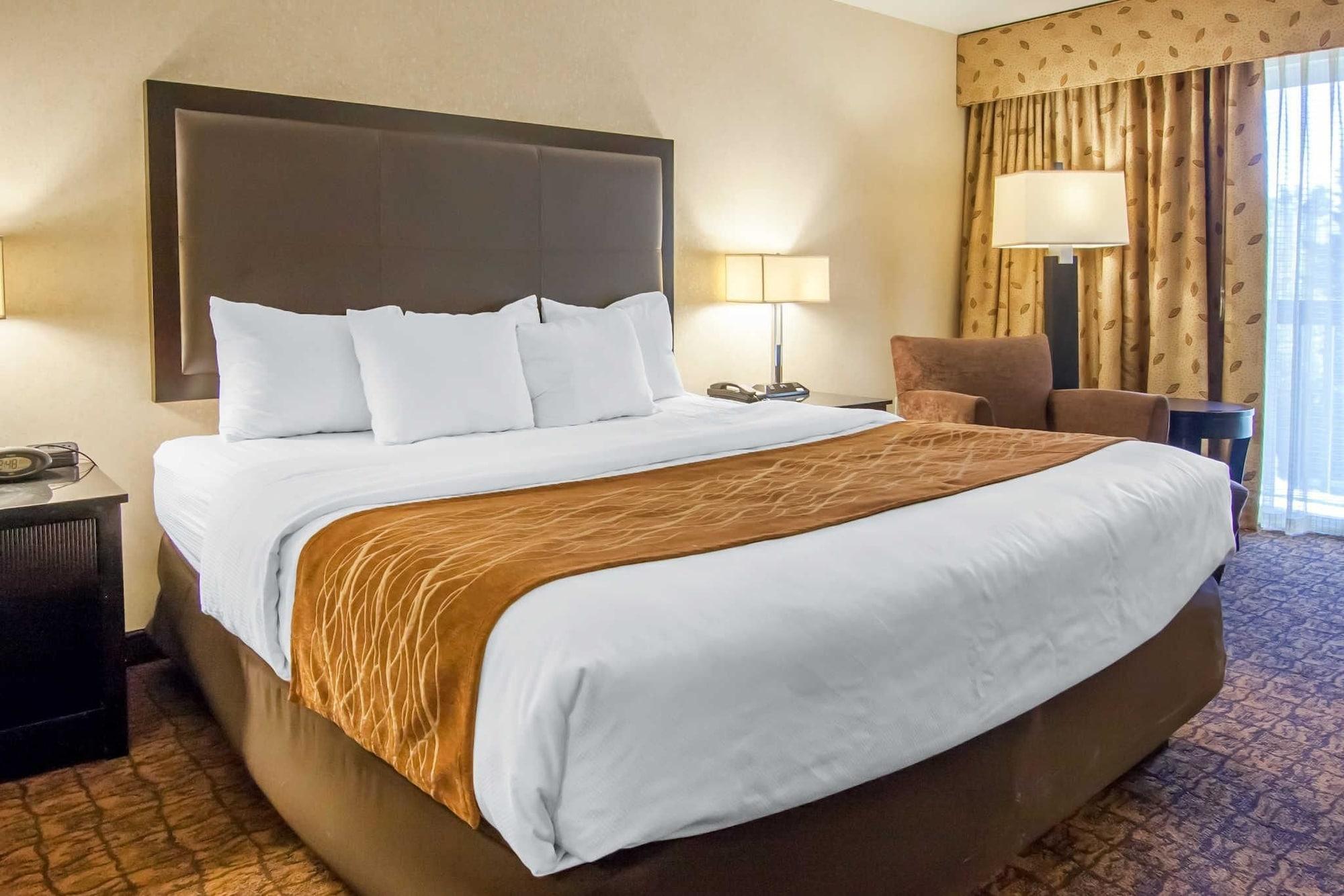 לינקולן סיטי Comfort Inn & Suites מראה חיצוני תמונה