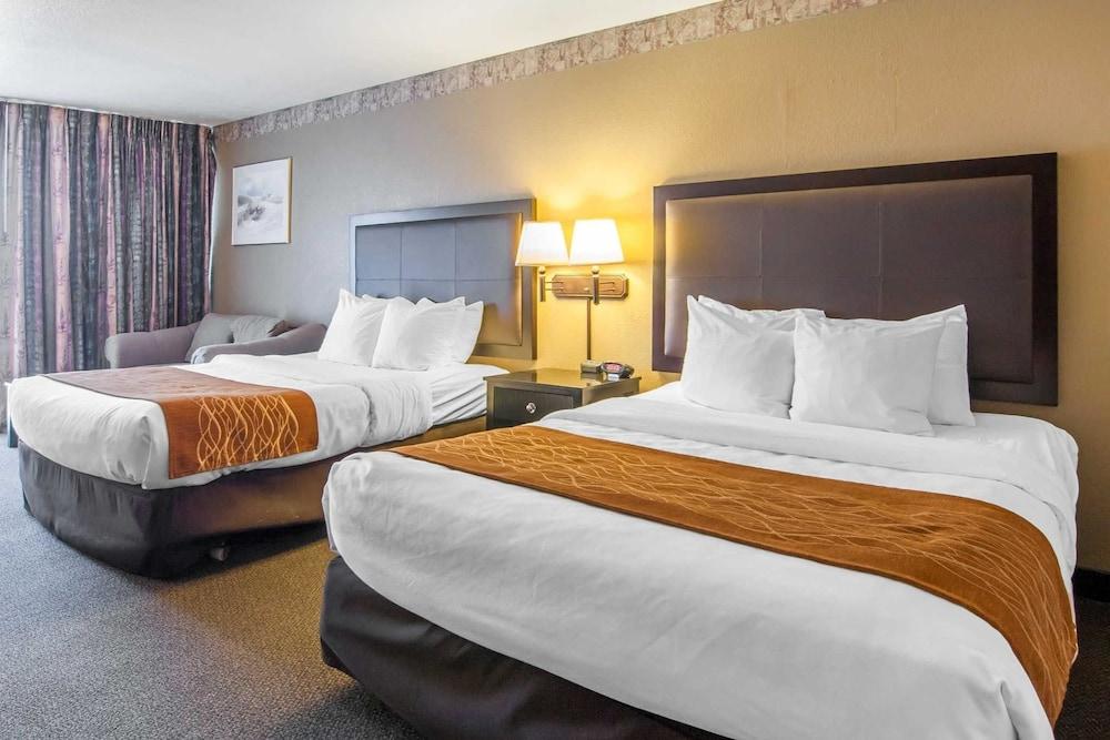 לינקולן סיטי Comfort Inn & Suites מראה חיצוני תמונה